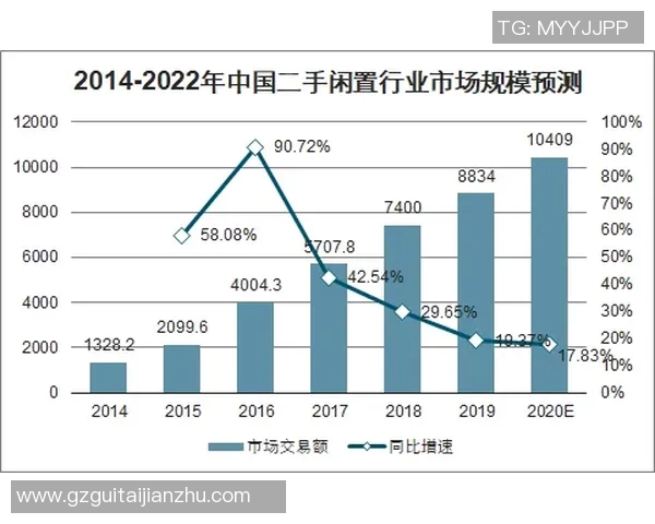 成都排球队的阵地战策略分析与未来发展展望